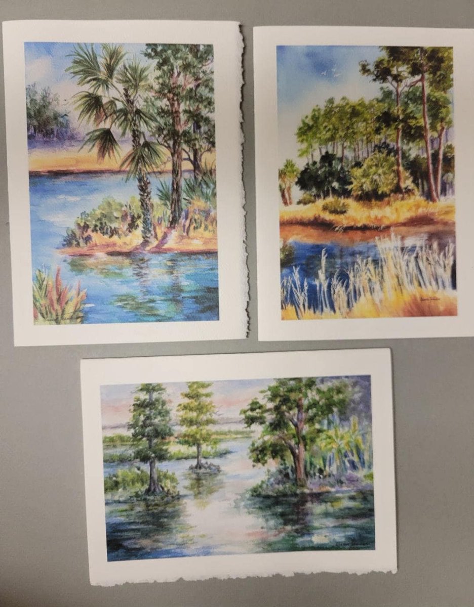 Old Florida set of 3 - 5 x 7 Note Art Cards @RTobaison #watercolorsNmore greeting Florida Landscape Tropical etsy.com/listing/670201…  #cctag