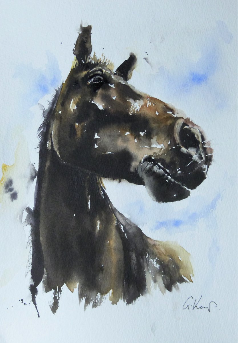 A Dark Horse, watercolour. #watercolour #art