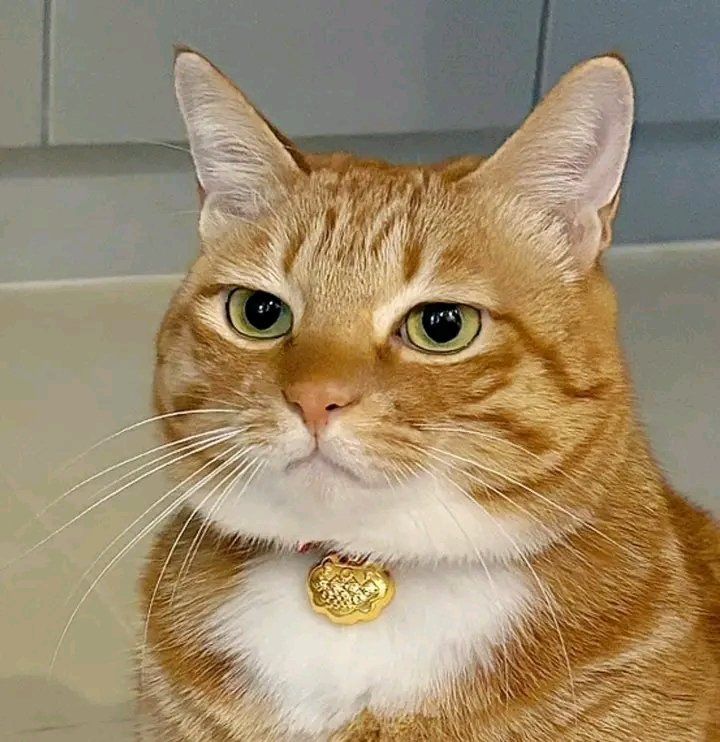 positivityofx's tweet photo. The face of judgement https://t.co/xCKZAd8XhE