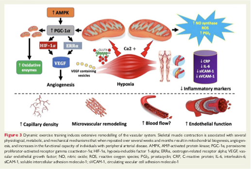 Carmen de Pablo Zarzosa tweet media