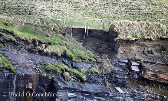 Great to hear Mary Bourke @megafloods talk real sense on Six One @rtenews 

The rate of coastal erosion I have witnessed on the West Clare coast this past 20+ years is unprecedented.

Time to get real about #CoastalErosion #NatureBasedSolutions & what can & can not be protected.