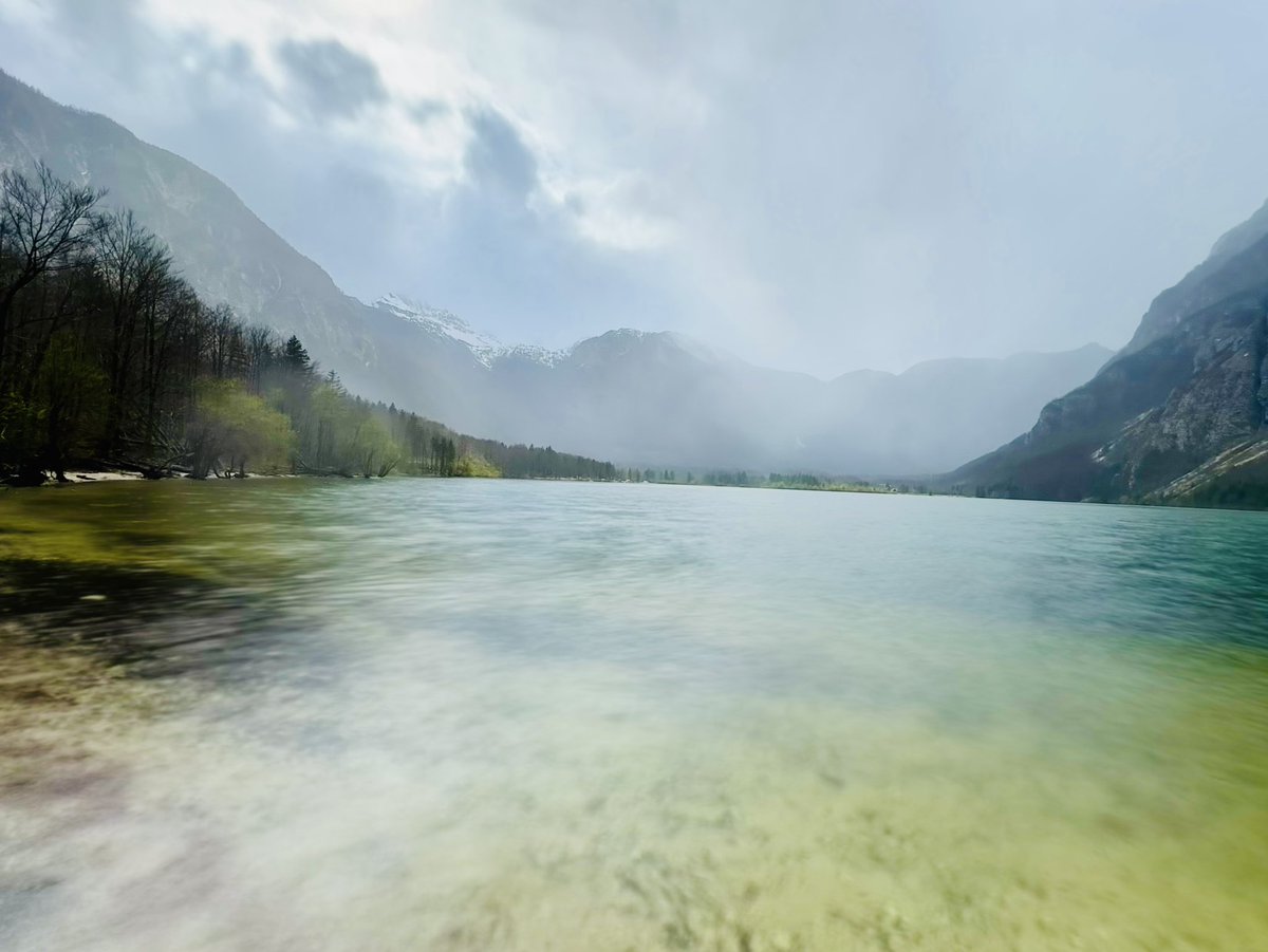 cado's tweet photo. emerald desires- #bohinj #triglav #slovenia
.
#spring Março 2024
.
#lake #forest #montain #alpesjulianos #vacation #ferias #heritage #patrimonio #architecture #arquitectura #arquitetura #street #landscape #nature #natureza #city #visitslovenia #visitbled #europe #europetrip https://t.co/RxwskhCbEq