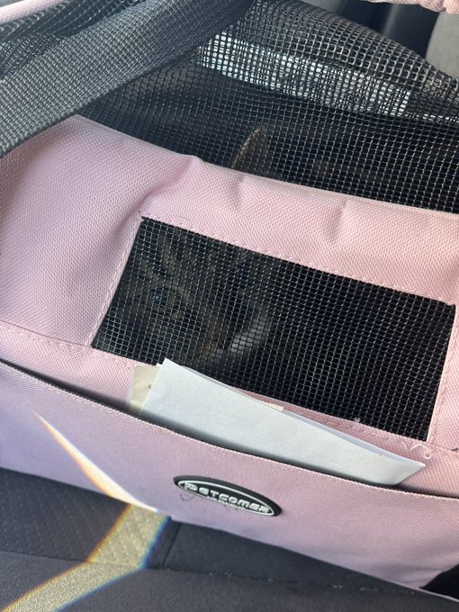To the vet we go https://t.co/cZgM8kQTea