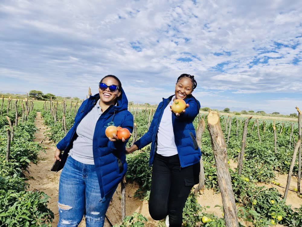d_dialwa's tweet photo. We are customer centric. Our customers are our priority.

#SeedCOmarketingteam
#Aftersalesmarketing
#Thehomeofbumperharvest https://t.co/HEPsOEHYgB