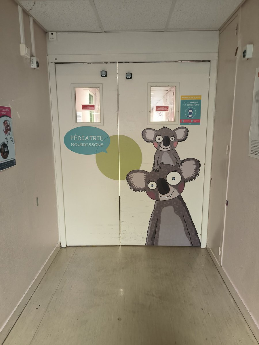 Elo_says's tweet image. Non mais sérieux qui a dessiné ces koalas ???