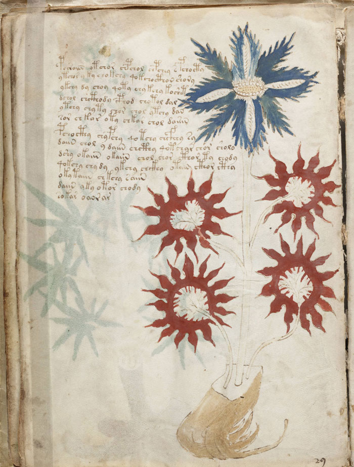 El manuscrito Voynich es un códice ilustrado de principios del siglo XV que nadie puede descifrar porque no se corresponde con ningún sistema de escritura conocido. Las ilustraciones muestran varias hierbas, diagramas que sugieren astronomía o astrología, así como aparentes…