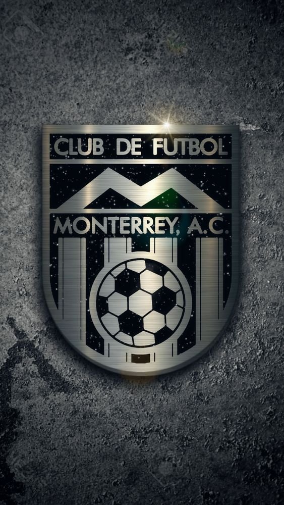 Vamos a ayudar a toda la comunidad rayada.💙📷 
  
SI eres hincha de #RAYADOS y quieres tener MÁS followers, entonces da:  

RT (para que más gente lo vea)  
Y sigue a todos los que den Me gusta.. 🔄

#FollowRayadoDefiendoLaDivisa