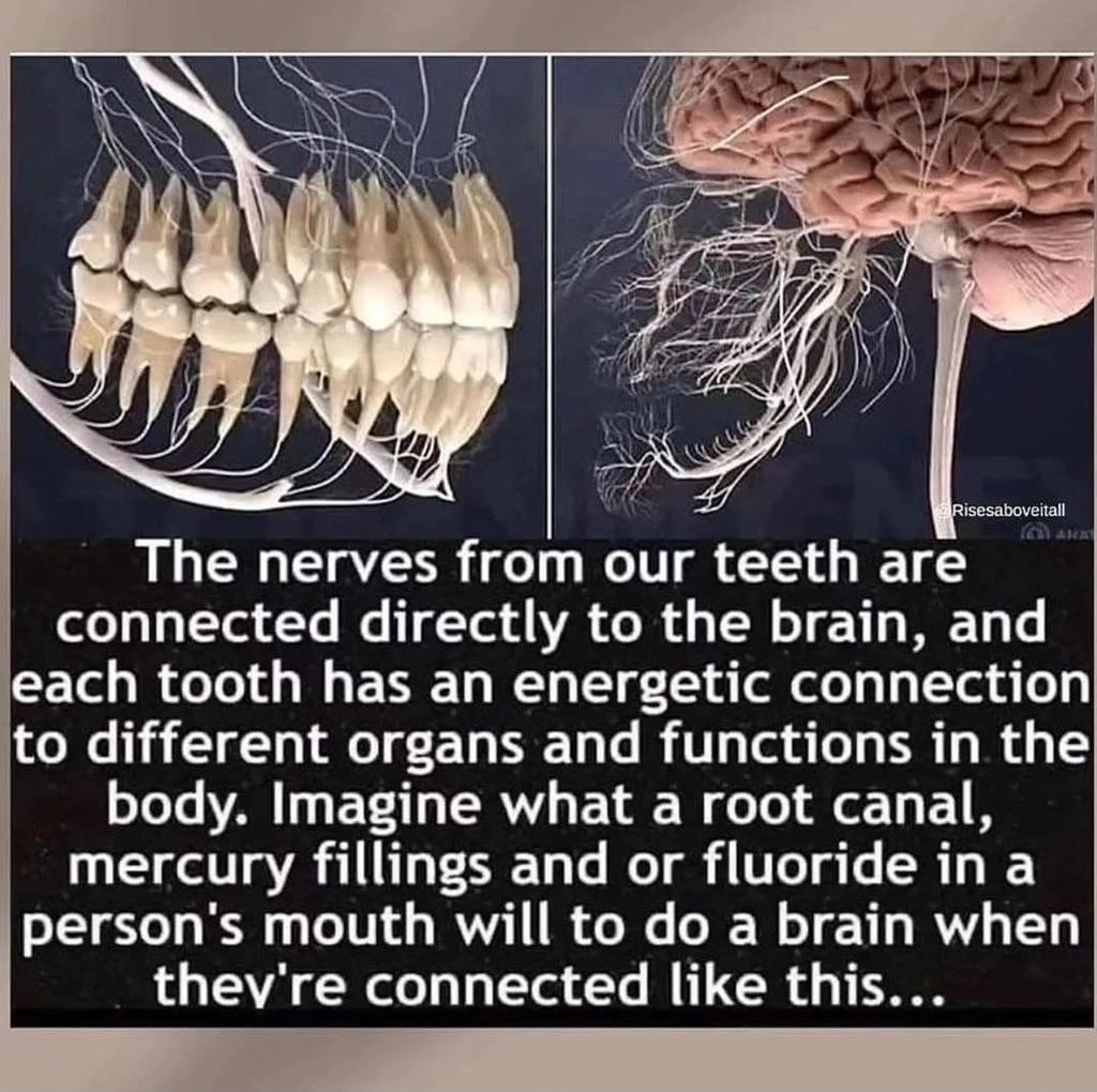 Who knew?  🤔
Had one root canal done in my life, only to have the same tooth extracted later. #MoneyWasted and #LessonLearned.