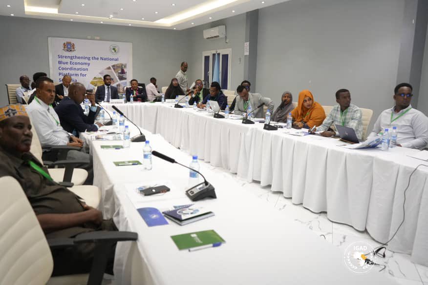 Glad to join discussions on strengthening Blue Economy coordination platform. I reiterated #FAOSomalia's support to Blue transformation agenda led by #MFBESomalia & emphasized Somalia's potential can be taped with a strong inter-government coordination & multi-partner support