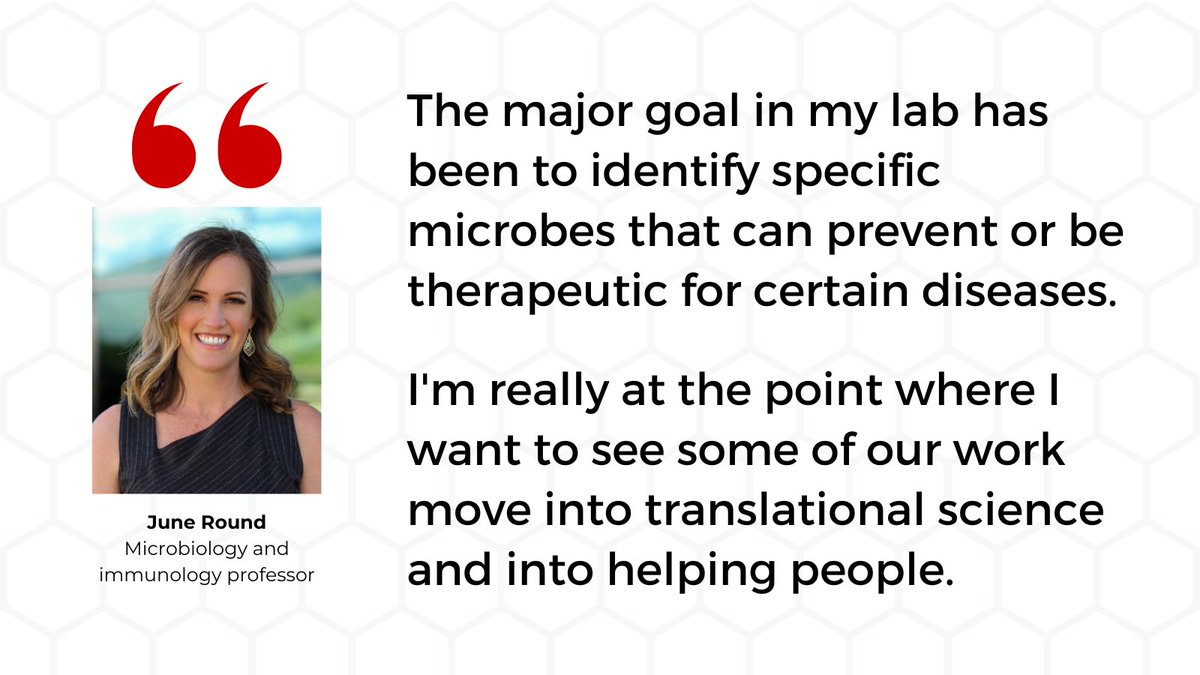 June Round, a @uutah microbiology and immunology @UofUPathology professor, is studying how the microbes that cover our bodies impact our health. “I think a lot of people don't think about how we are just coated in microbes,” she said. Read more: technologylicensing.utah.edu/news-events/ac…