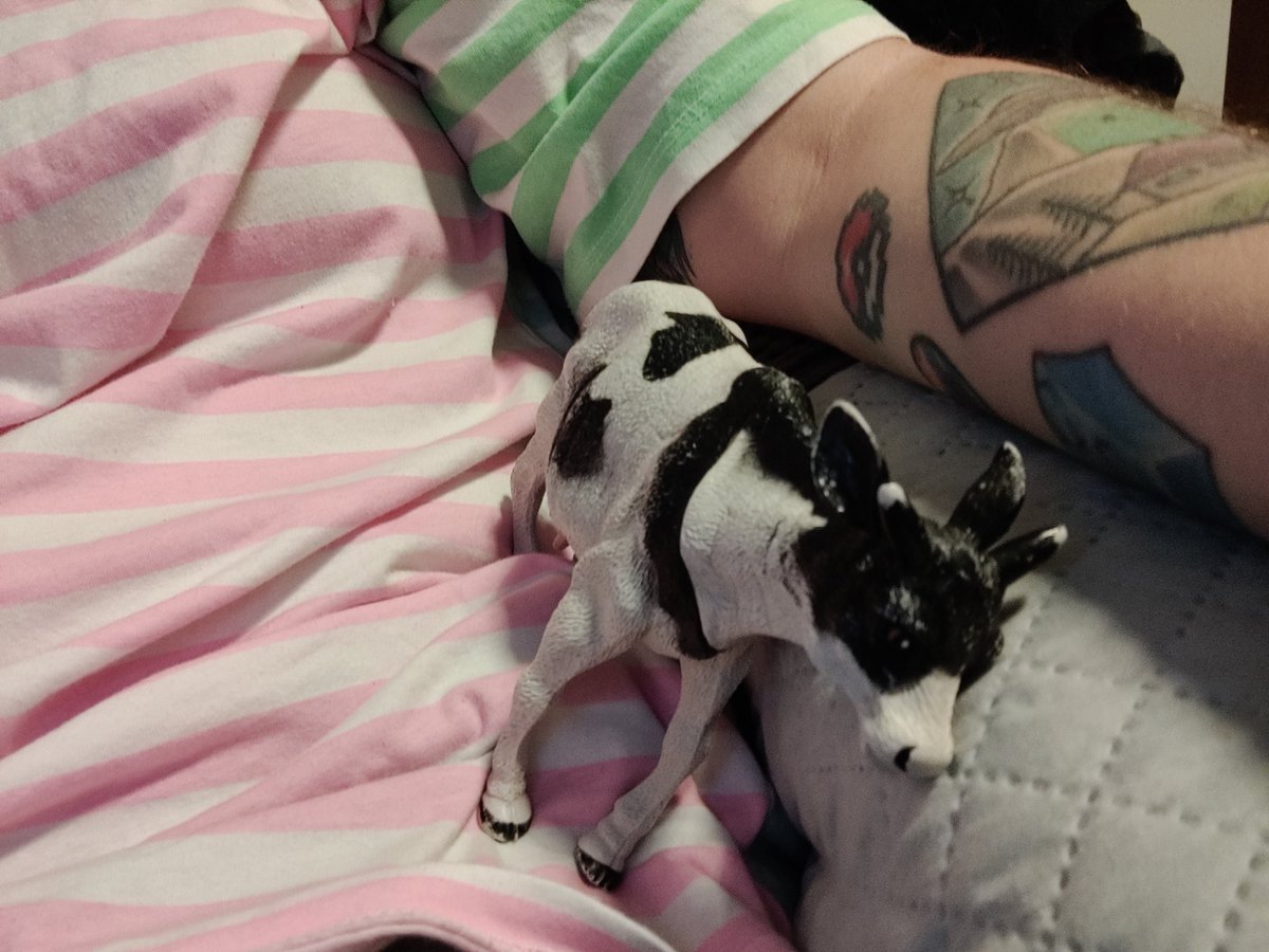 Acaba de venir mi hijo diciendo "vaca" y otras cosas ininteligibles y ha hecho esto: