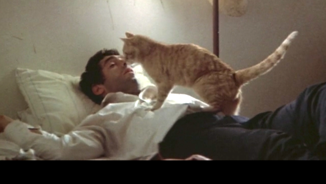 Achates123's tweet photo. @Criterion @nyrbclassics @criterionchannl Most recently: The long goodbye (1973) https://t.co/NSgdOXMwIs