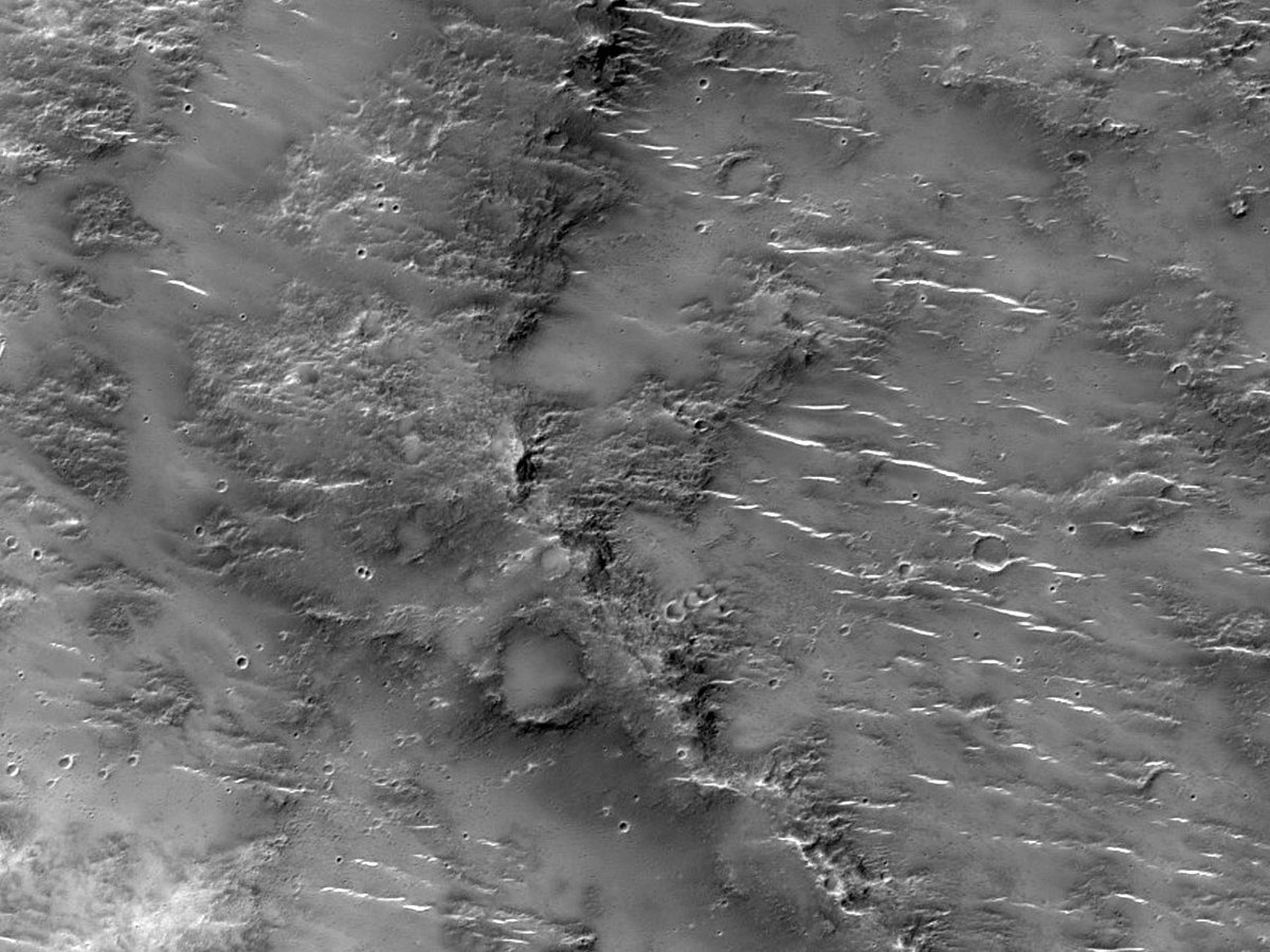 HiRISEIcelandic's tweet photo. HiPOD: Línulegur veggur á Iapygia svæðinu

númer: ESP_051783_1700
dagsetning myndatöku: 13. ágúst 2017
hæð yfir sjávarmáli: 259 km

https://t.co/sLLjhDkcbC
NASA/JPL-Caltech/UArizona
#Mars #NASA #Icelandic #íslenska https://t.co/y8Wd1eBt4q