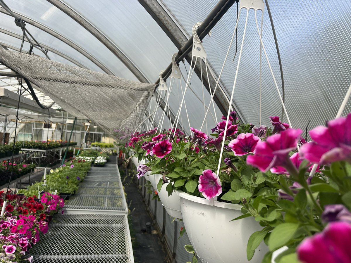 DTCC_Turf's tweet photo. The Ag Dept’s Plant Sale opens to the public tomorrow. @dtccag https://t.co/3nP9Acetsr