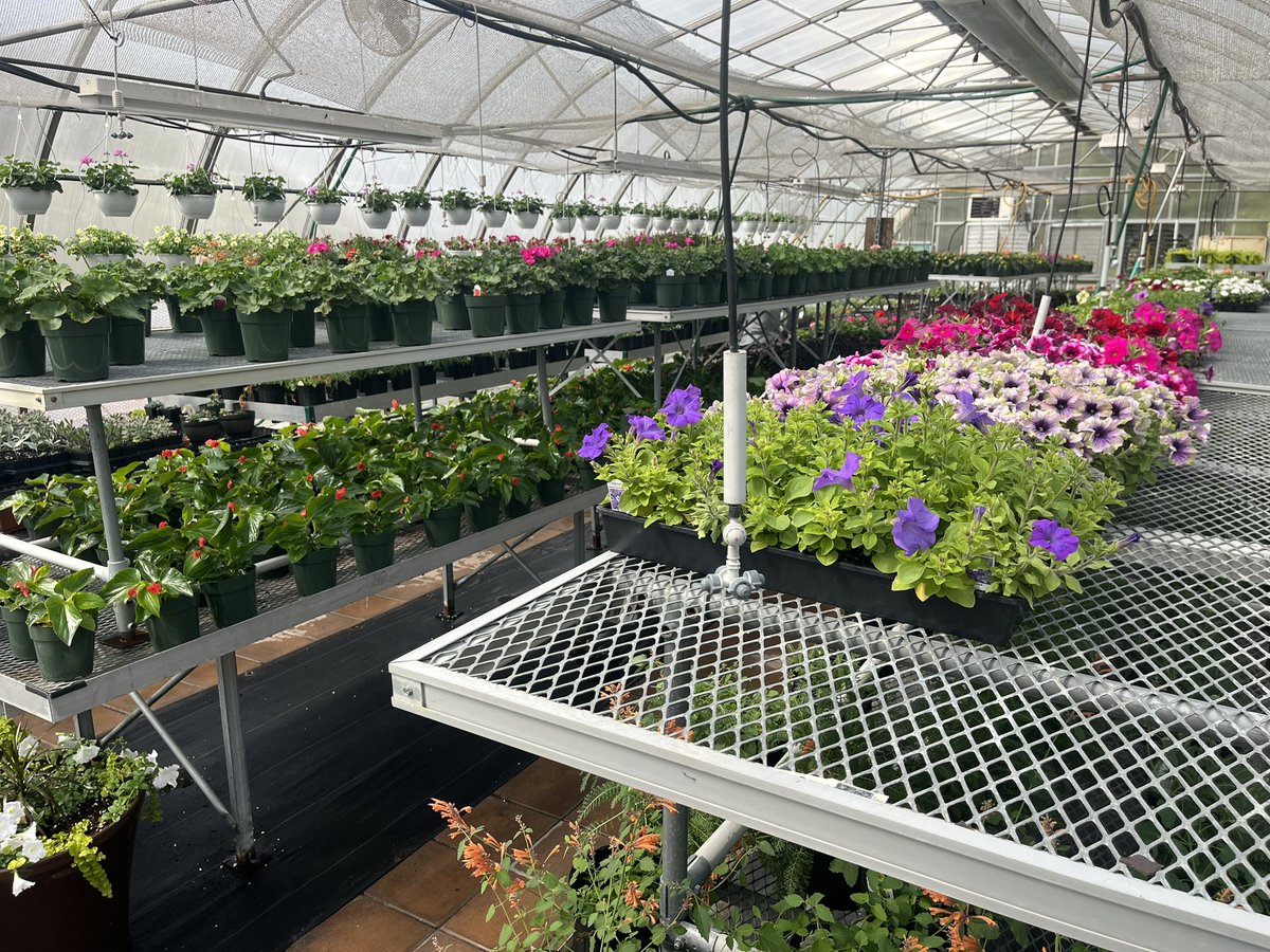 DTCC_Turf's tweet photo. The Ag Dept’s Plant Sale opens to the public tomorrow. @dtccag https://t.co/3nP9Acetsr