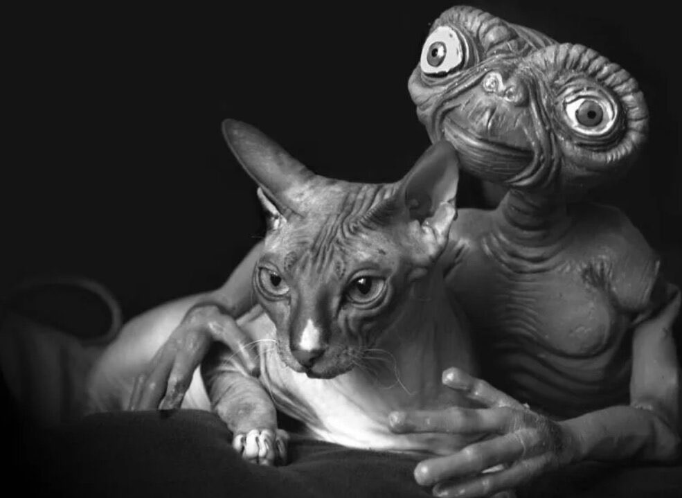 Артём В tweet media