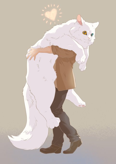 「ソロ 白い猫」のTwitter画像/イラスト(新着)｜2ページ目