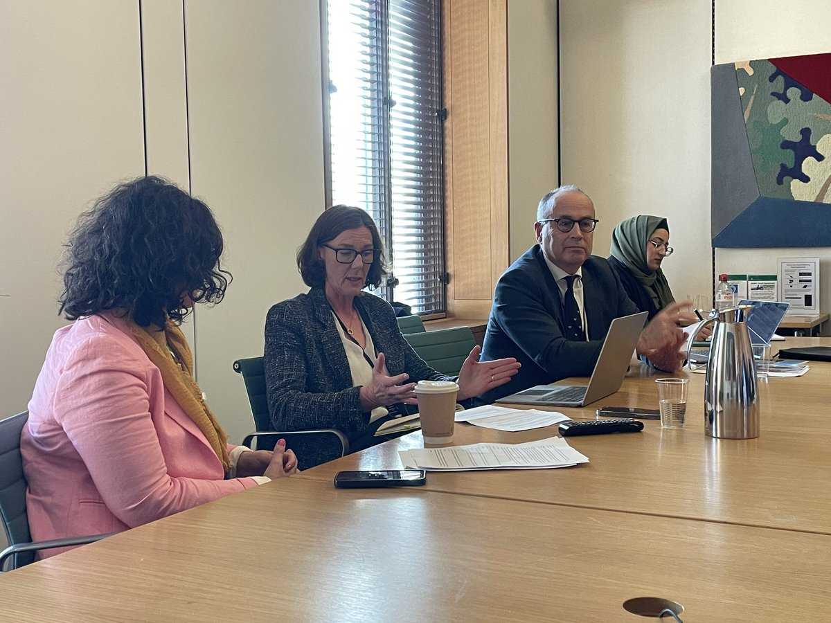So harrowing to hear obstetrician @DeborahHarrin19 & surgeon @maynard_nick talk about working in Gaza with @MedicalAidPal to MPs, hosted by @LaylaMoran. In each single detail, indignity & horror for Palestinians, inc a 12yr old girl dying in pain, burnt to bone with no morphine