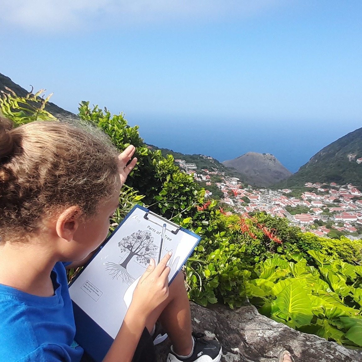 RESEMBID2023's tweet image. Growing with the Trees| 🌱 🌳
The youngest among us are contributing to the Saba’s reforestation efforts! The Junior Rangers of the Saba Conservation Foundation have been learning about reforestation and planting trees of their own.

#Reforestation #Saba #Statia #PlantATree