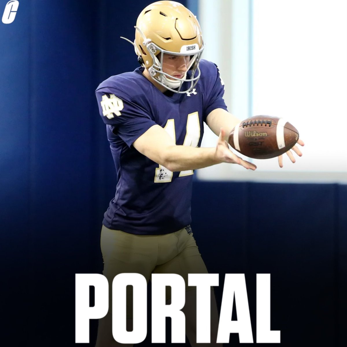 Transfer Portal: Notre Dame P Bryce McFerson has entered the transfer portal. - 45.1 average punt - 59 yards longest punt Where will he land?