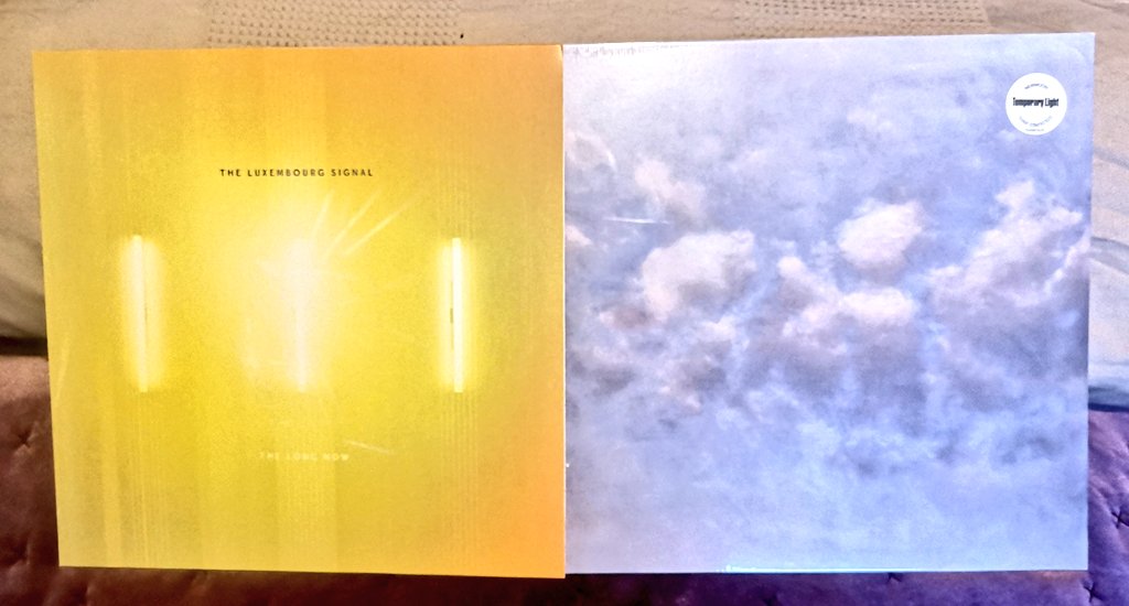 StevyK73 /// tweet media