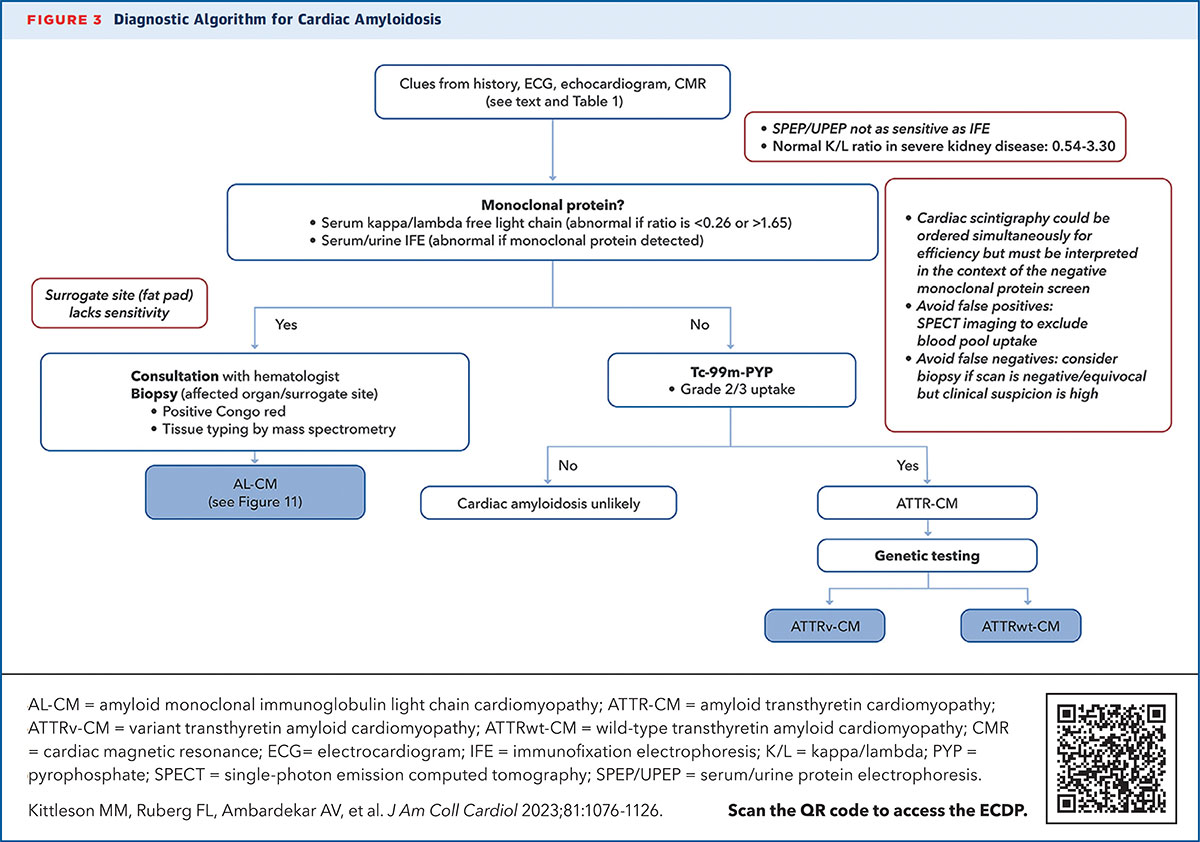 🔴 Cardiac Amyloidosis and How to Stop Missing the Diagnosis

✅💬Now that we have a noninvasive means of diagnosing cardiac amyloidosis and a disease-specific treatment that works, it's time to stop missing the diagnosis.

✅Read in #CardiologyMag: bit.ly/3Q5poo5