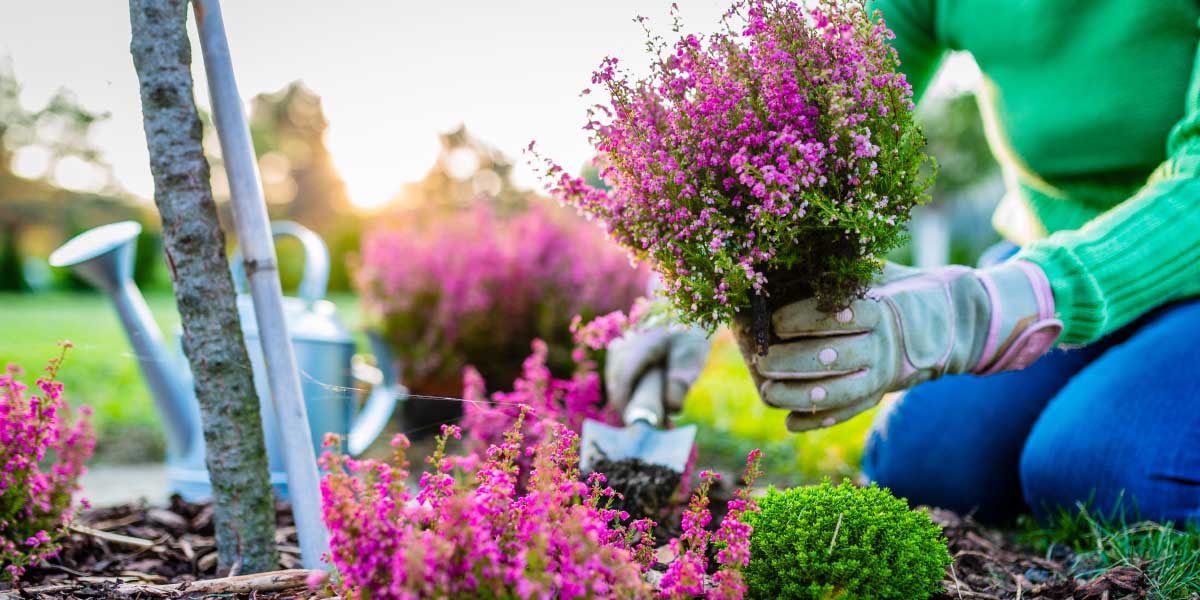 🌺 Don't miss The Language of Gardening- the second in this year's gardening series🏵️ 📆 April 24 🕓 7:00 p.m. (Speaker begins at 7:30 p.m.) 📍 Brooklin United Church Register ➡️ whitby.ca/en/play/garden…