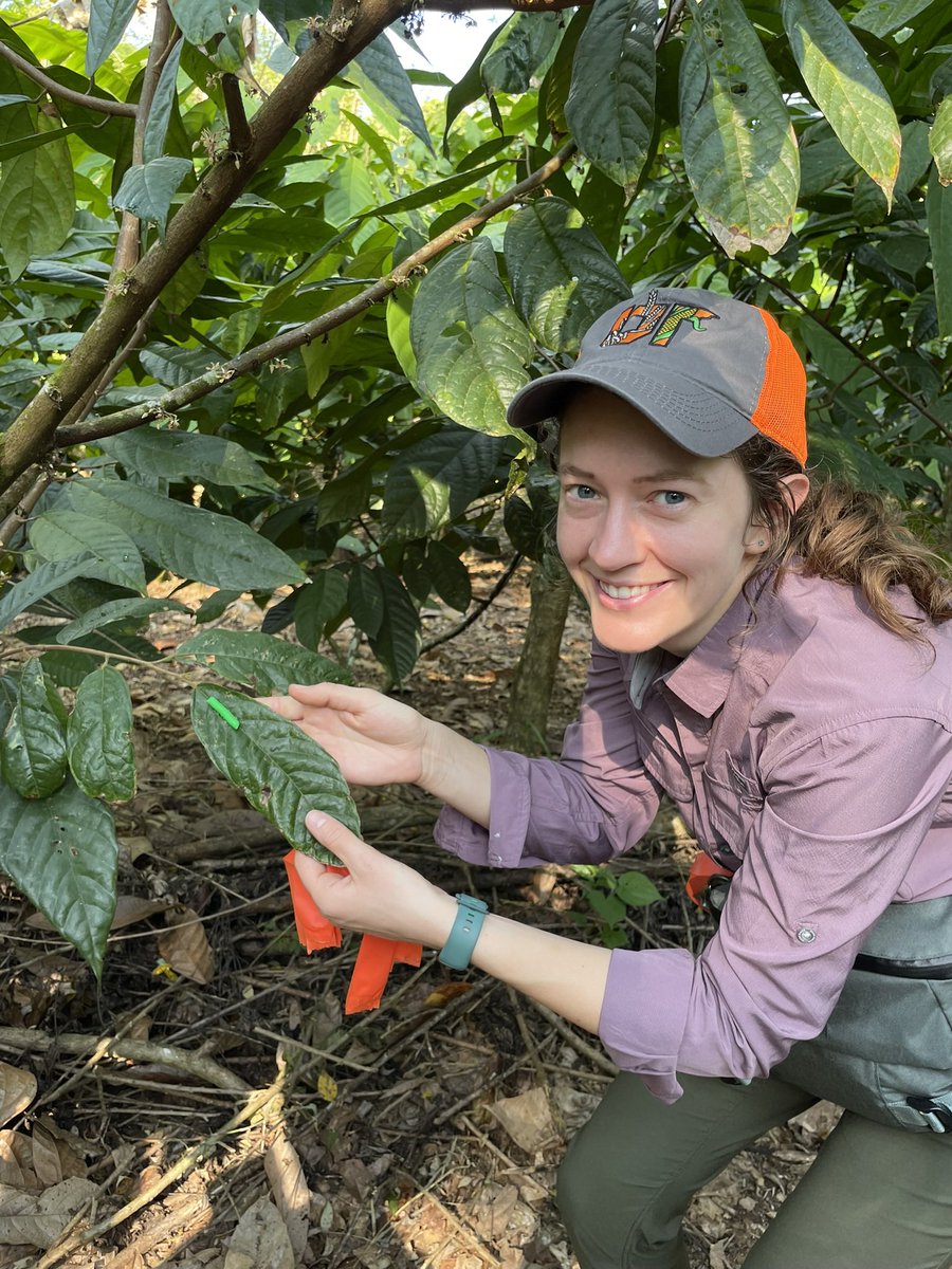 TreeHealthDoc's tweet image. I am very proud of our #gradstudents. Congrats @HollyBraba and Matthew! 

Super stoked to see awards🏆 for @UT_Herbert students doing #international #research &amp;amp; #teaching. 

@UTKGradSchool 
@utsmithcenter 
@BFREEBZ_org 
@epp_tn 
@UTAgResearch 
@DD_Shoemaker