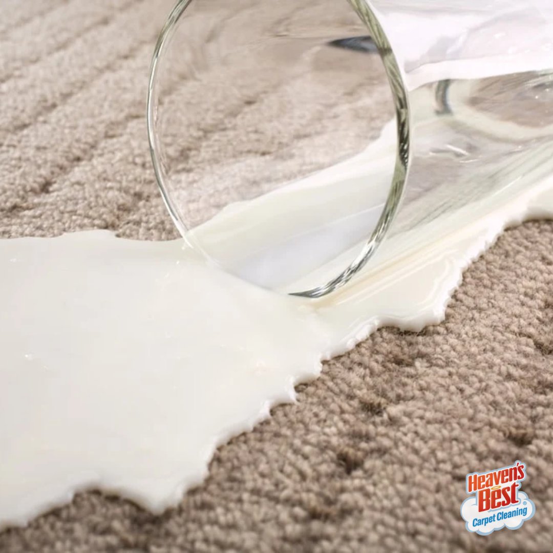 Don't cry over spilled milk 🥛 (or any other stain, for that matter!) Schedule your carpet cleaning with Heaven's Best today!

goheavensbest.com
#heavensbest #portland #bestofportland #lakeoswego #oregoncity #carpetcleaning #floorcleaning #upholsterycleaning