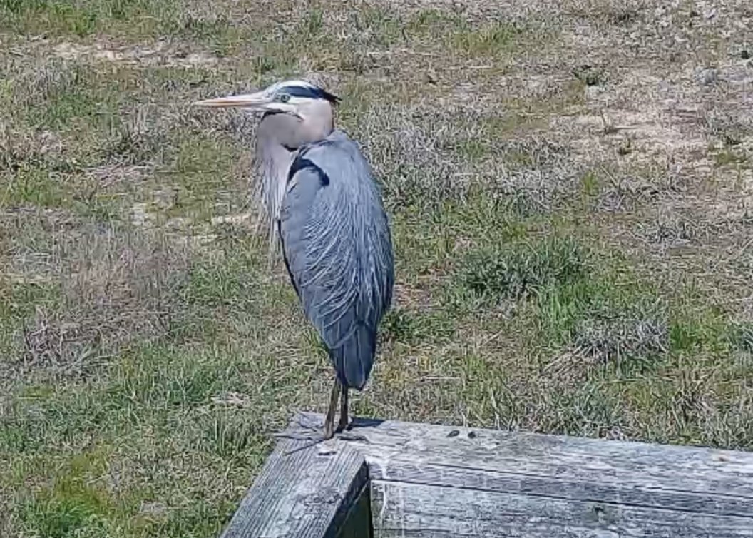 Future Learning Experience tweet media