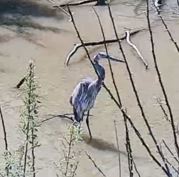 Future Learning Experience tweet media