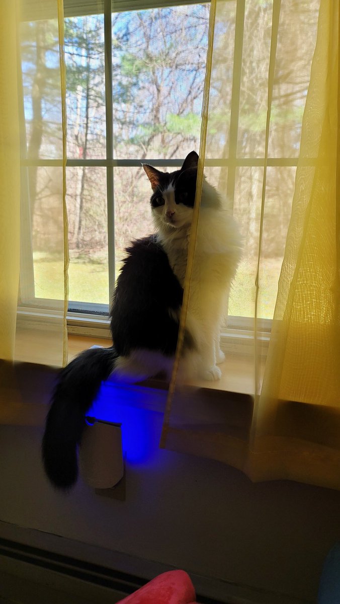 ReRolling Robbie tweet media