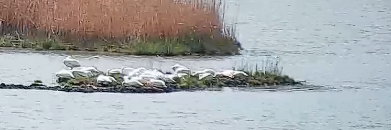 Future Learning Experience tweet media