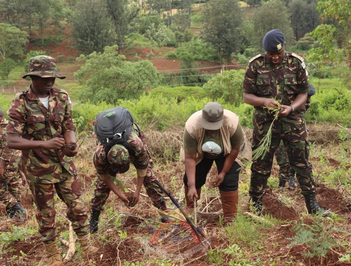 The Kenya Army Corps of Transport led by Lieutenant Colonel Simon Cherugut in conjunction with the University of Nairobi, Greens of Africa Foundation and Equity Bank today planted over 15,000 trees at the University of Nairobi’s Upper Kabete Campus. bit.ly/4aAiHCF