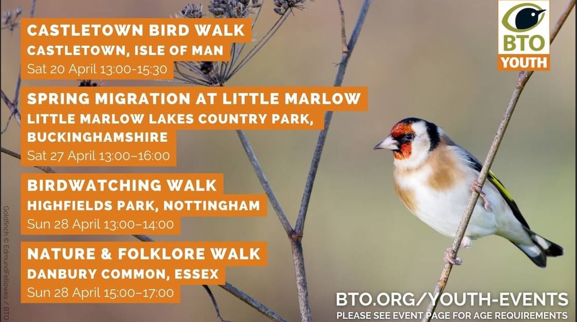 SOSyoungbirders's tweet photo. https://t.co/QVLwsakFpz https://t.co/froXsOntwf