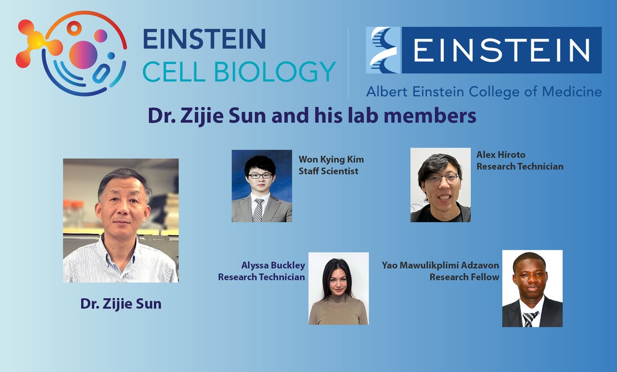 The Department of Cell Biology would like to extend a very warm welcome to our new faculty member Dr. Zijie Sun and his lab members.