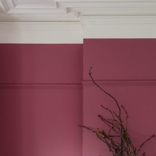 A touch of white and cool pink.
#interiorcolours
#interiorwalls