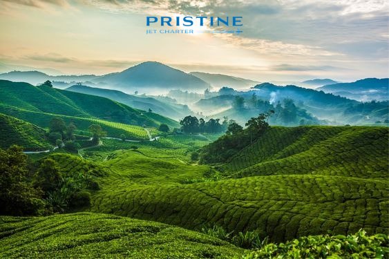 Who needs a spa day when you have the tranquil beauty of Cameron Highlands to refresh your soul? 💆‍♀️✨

#PristineJetCharter #PrivateJetCharter #flyprivate #privatejet  #luxurylifestyle #luxuryjets #privatejetlife #privateaviation #aviation #aviationphotography #aviationlovers
