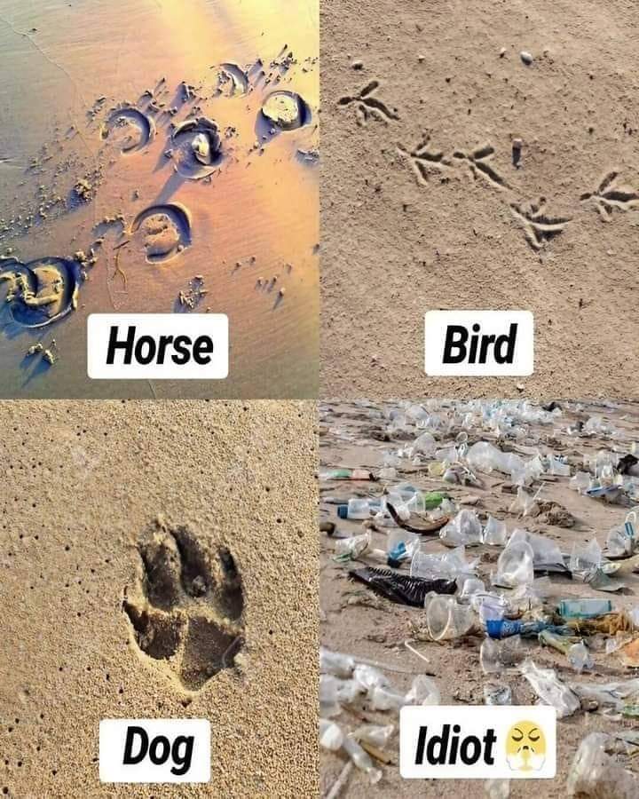 mustafdesam's tweet photo. Humans https://t.co/z6IbFECilv