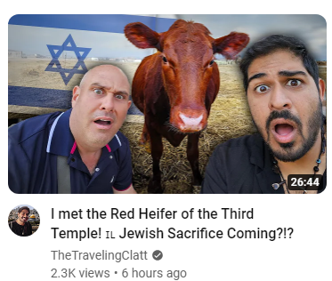 Okay last red heifer post until the Moshiach arrives, I just had to share this amazing YouTube thumbnail