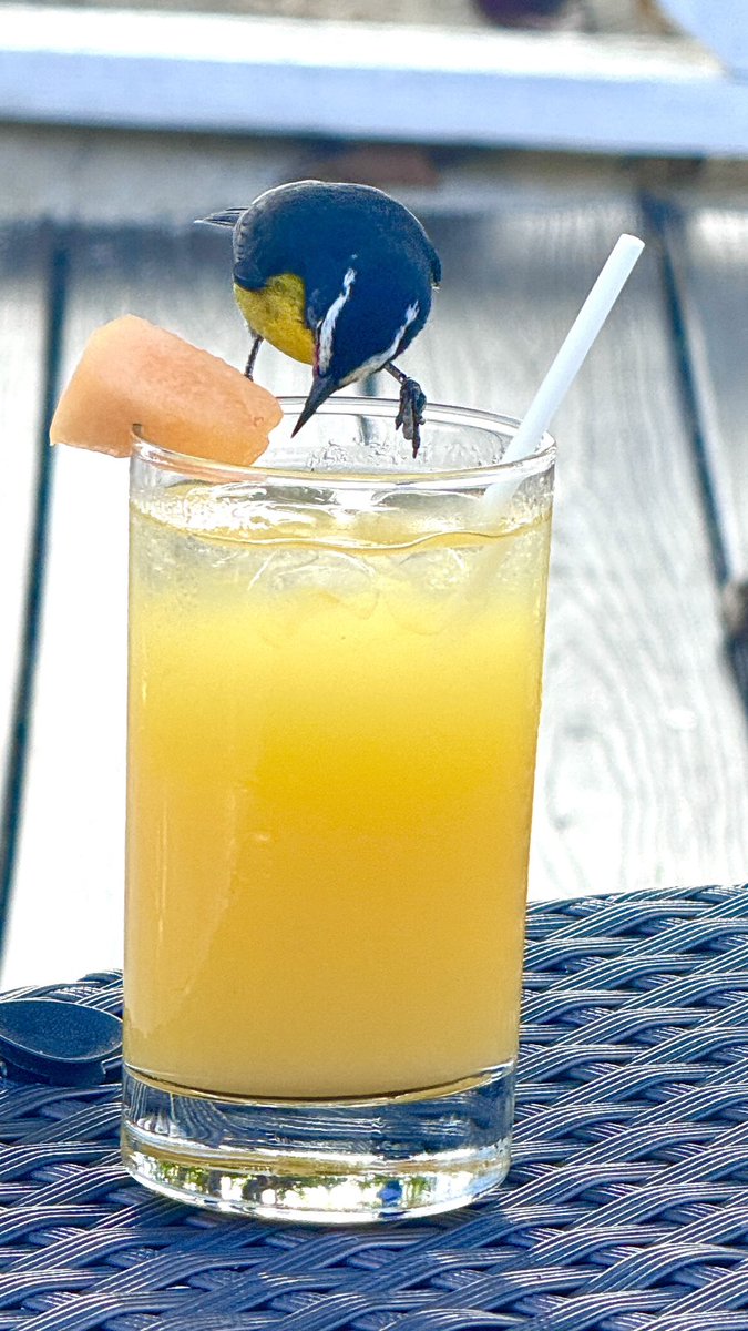 Good to see the locals joining us for a drink or two at Lunchtime 🇧🇧 … always a welcoming site.