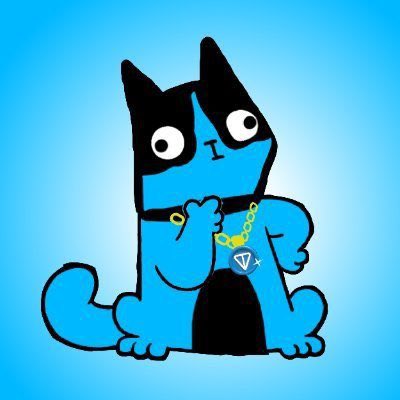 Punk.Btc 🥷 tweet media