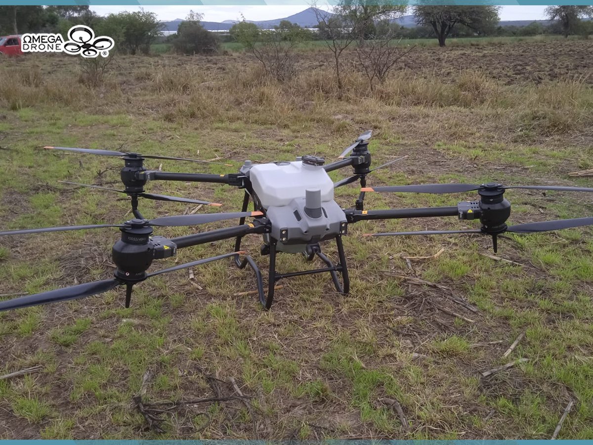 OmegaDrone7's tweet photo. ✅ Entrega y Capacitación Especializada 👨‍🌾 de Drone para Agricultura DJI Agras T40 🚁 para maíz 🌽 https://t.co/WanaNOYZj8