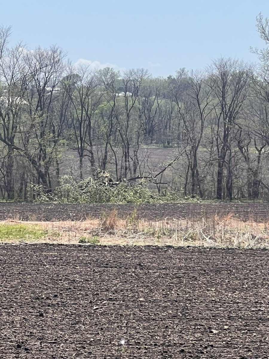 Chuck Weldon tweet media