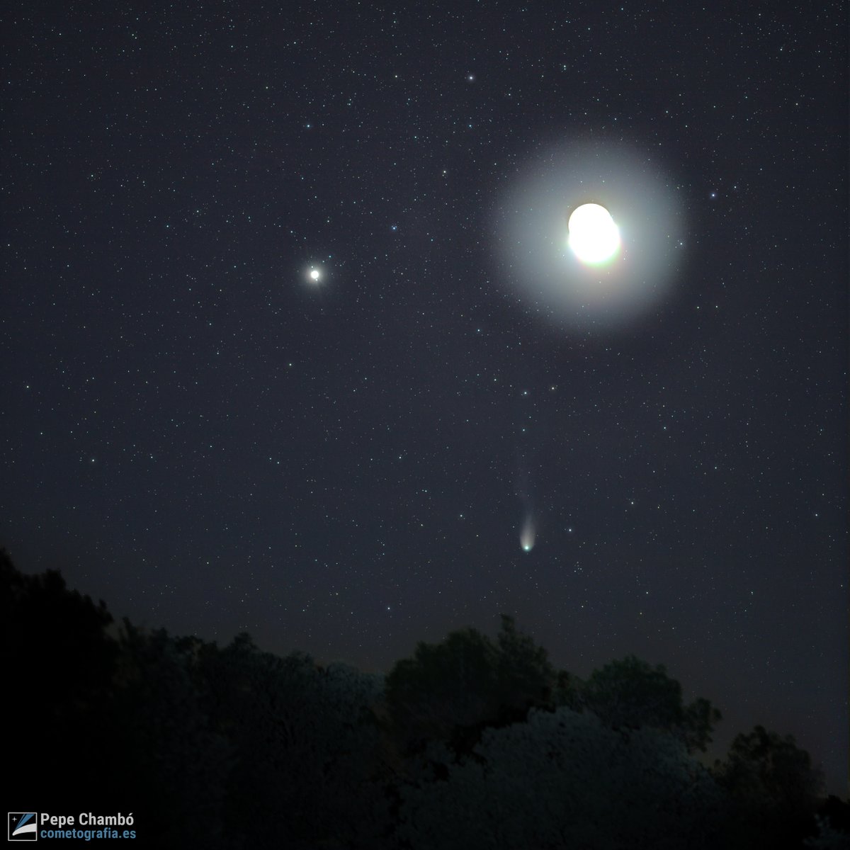 Pepe Chambó tweet media