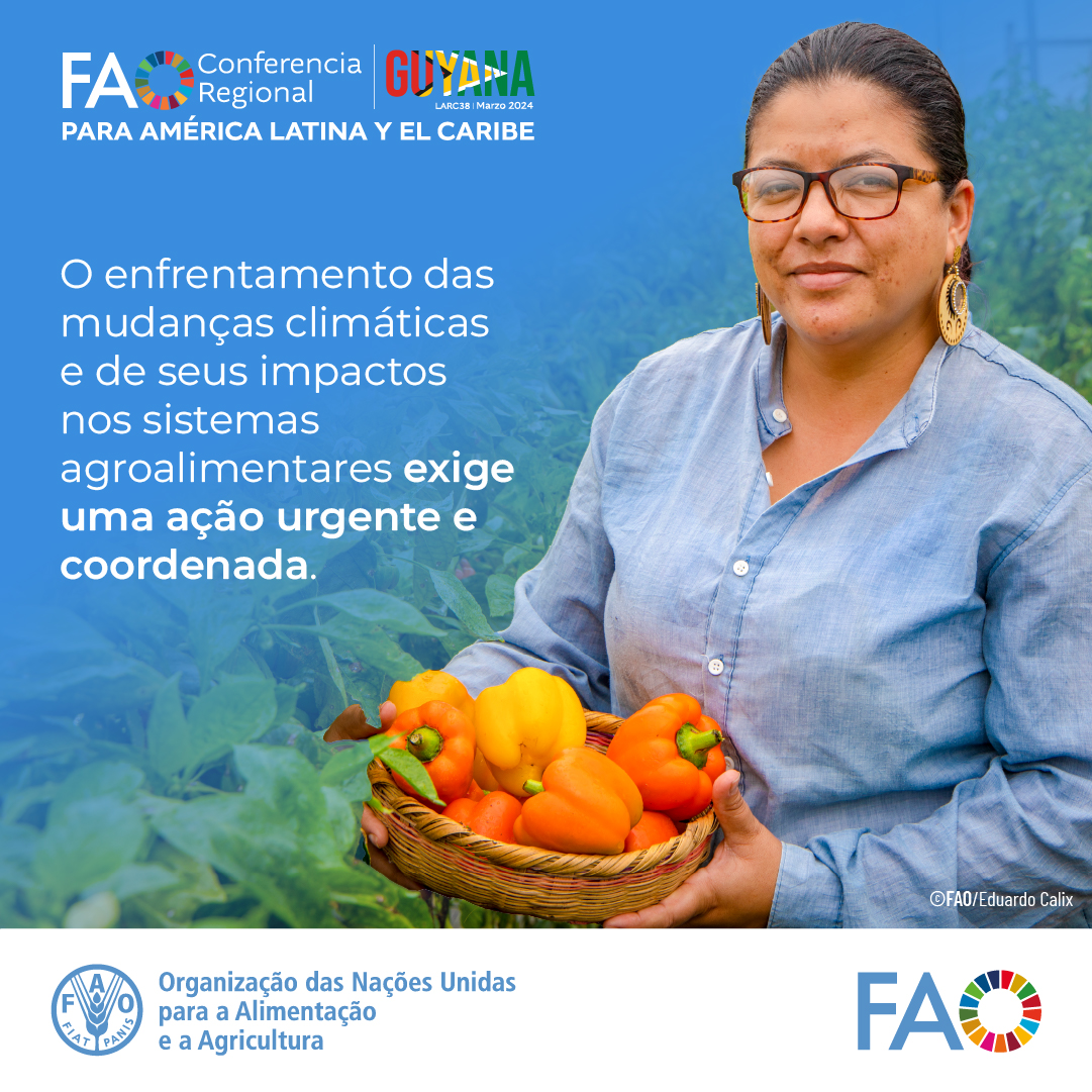 A @FAOAmericas apoia os países na integração de medidas de adaptação e mitigação das mudanças climáticas em suas práticas agrícolas e políticas alimentares. 👏 #LARC38 📲bit.ly/LARC38_FAO