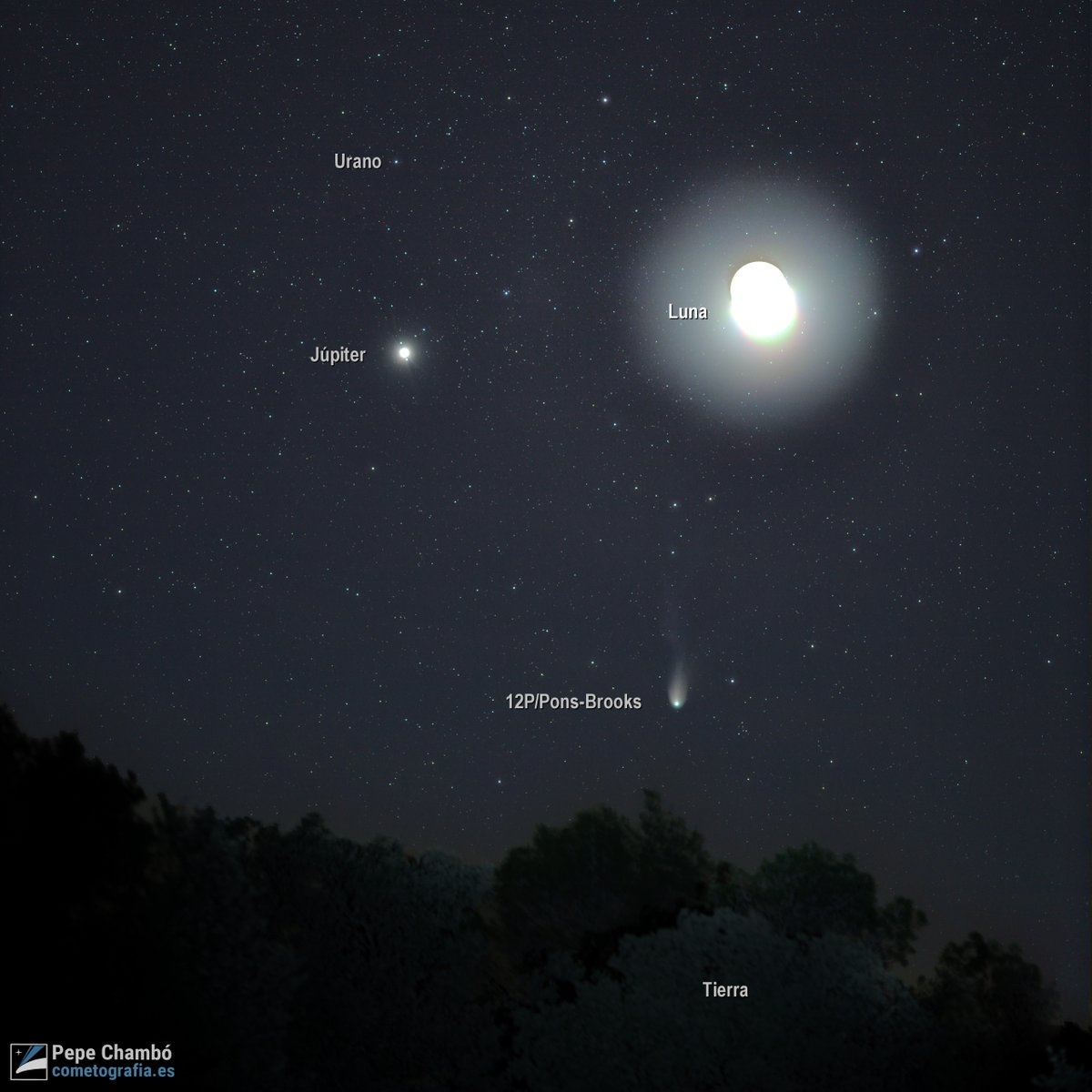 Pepe Chambó tweet media