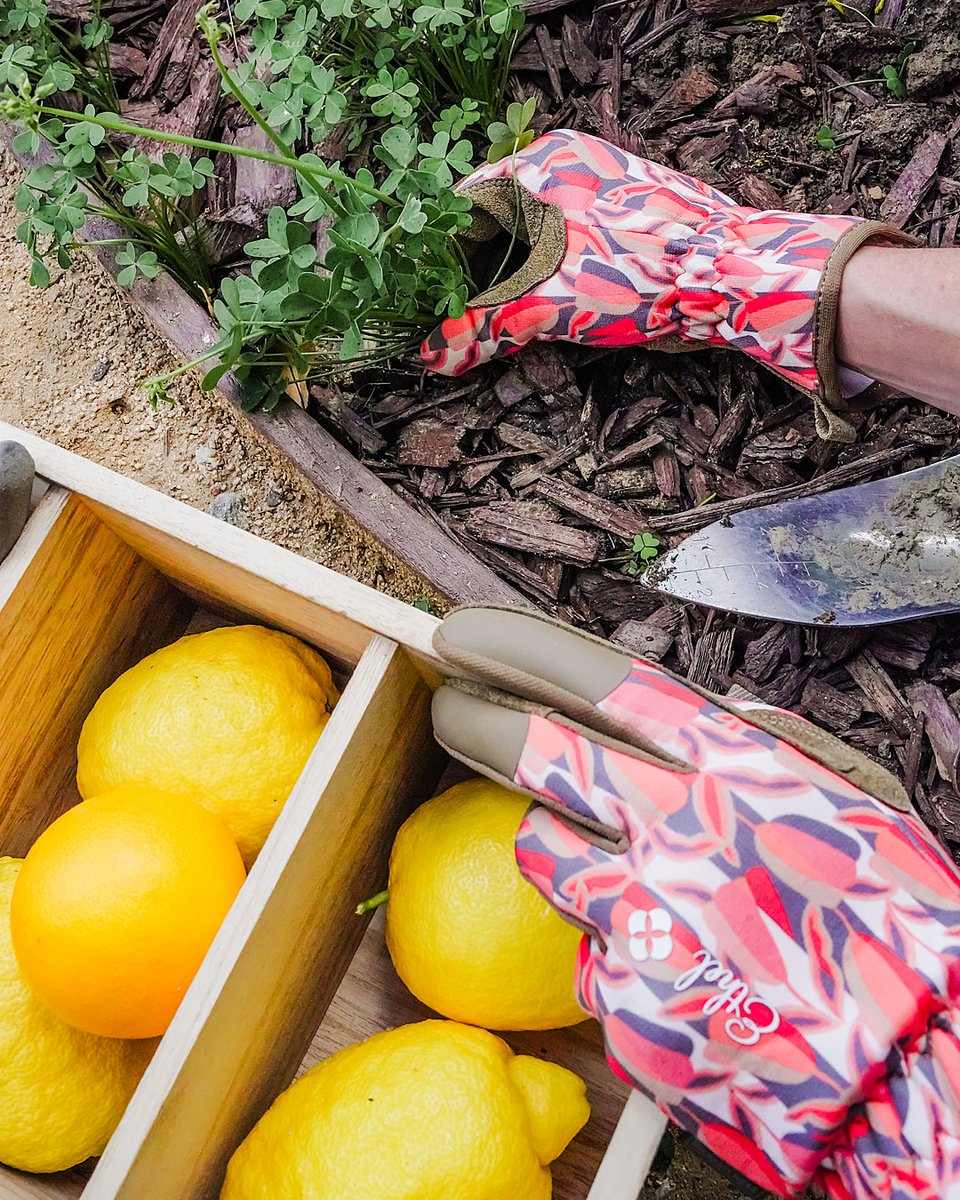 Protect your hands and nurture your garden with the Ethel glove. Designed to shield your hands from thorns and dirt while giving you the dexterity needed to tend to your plants with care. #MechanixWear #WhatYouWearMatters