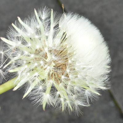 49_lyn's tweet photo. #NewProfilePic https://t.co/zVdhkPe2pL