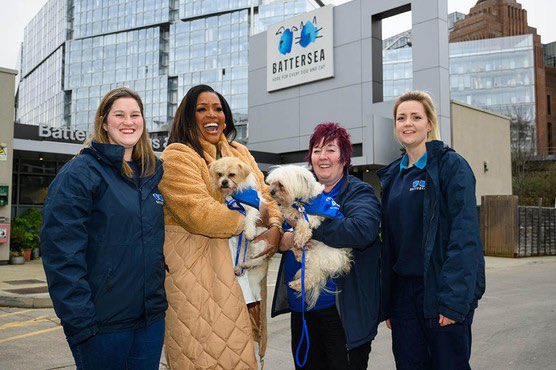 How can ITV justify replacing the wonderful Paul O’Grady with the loud mouthed Alison Hammond on for the love of dogs how does this woman keep getting top jobs on TV she is rubbish #PaulOGrady #FortheLoveofDogs